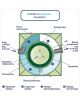 ГРИНЛОС Аква 8 Пр Лонг - фото 5